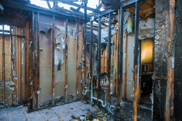 Professional Odor Removal technician working in Lakeside, VA